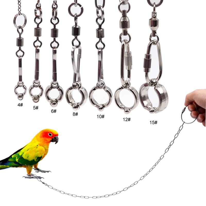 Stainless Steel Parrot Leg Rin - đánh giá và giá Anklet Foot Chain